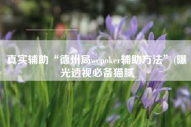真实辅助“德州局wepoker辅助方法”(曝光透视必备猫腻