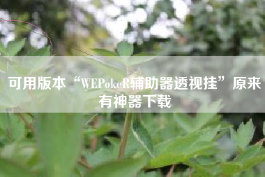 可用版本“WEPokeR辅助器透视挂	”原来有神器下载