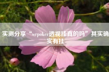 实测分享“wrpoker透视挂真的吗”其实确实有挂