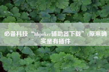 必备科技“hhpoker辅助器下载	”(原来确实是有插件