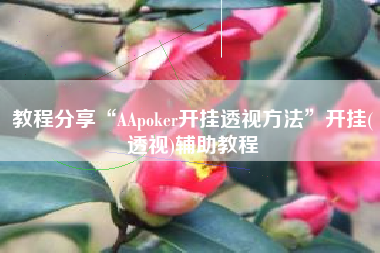 教程分享“AApoker开挂透视方法	”开挂(透视)辅助教程