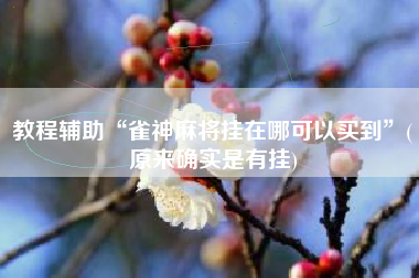 教程辅助“雀神麻将挂在哪可以买到	”(原来确实是有挂)