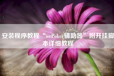 安装程序教程“wePoker辅助器”附开挂脚本详细教程