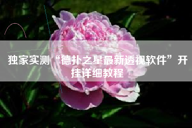 独家实测“德扑之星最新透视软件”开挂详细教程