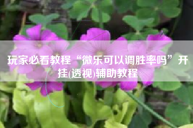 玩家必看教程“微乐可以调胜率吗”开挂(透视)辅助教程