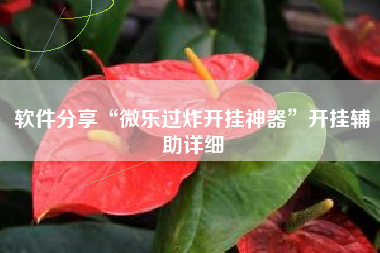 软件分享“微乐过炸开挂神器	”开挂辅助详细