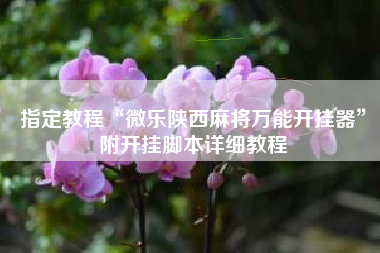 指定教程“微乐陕西麻将万能开挂器	”附开挂脚本详细教程