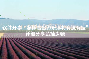 软件分享“怎样看出微乐麻将有没有挂”详细分享装挂步骤