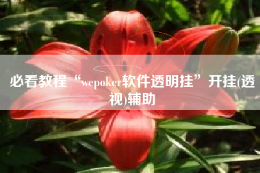 必看教程“wepoker软件透明挂”开挂(透视)辅助