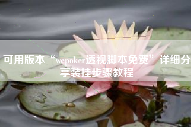 可用版本“wepoker透视脚本免费	”详细分享装挂步骤教程