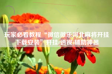 玩家必看教程“微信微乐河北麻将开挂下载安装	”开挂(透视)辅助神器