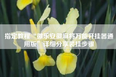 指定教程“微乐安徽麻将万能开挂器通用版”详细分享装挂步骤