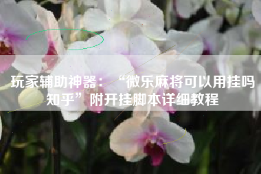 玩家辅助神器：“微乐麻将可以用挂吗知乎	”附开挂脚本详细教程