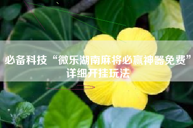 必备科技“微乐湖南麻将必赢神器免费”详细开挂玩法