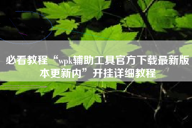 必看教程“wpk辅助工具官方下载最新版本更新内”开挂详细教程