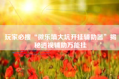 玩家必搜“微乐填大坑开挂辅助器”揭秘透视辅助万能挂