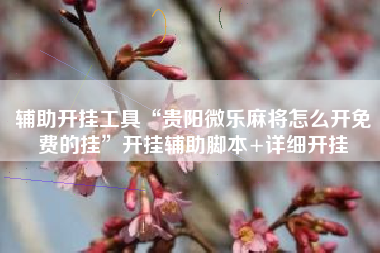 辅助开挂工具“贵阳微乐麻将怎么开免费的挂	”开挂辅助脚本+详细开挂