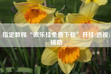 指定教程“微乐挂免费下载”开挂(透视)辅助