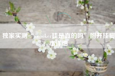 独家实测“wepoker挂是真的吗”附开挂脚本详细
