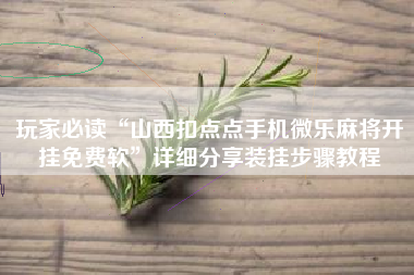 玩家必读“山西扣点点手机微乐麻将开挂免费软	”详细分享装挂步骤教程