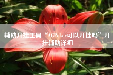 辅助开挂工具“AGPoker可以开挂吗”开挂辅助详细