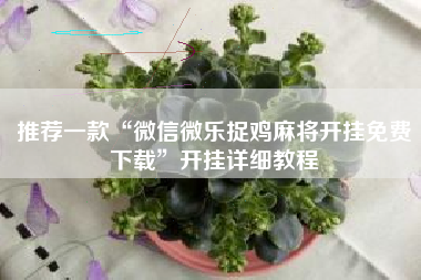 推荐一款“微信微乐捉鸡麻将开挂免费下载”开挂详细教程