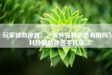 玩家辅助神器：“微扑克辅助器有用吗”科技辅助神器手机版