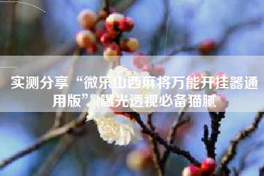 实测分享“微乐山西麻将万能开挂器通用版”(曝光透视必备猫腻