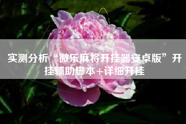 实测分析“微乐麻将开挂器安卓版	”开挂辅助脚本+详细开挂