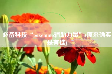 必备科技“pokemmo辅助力量”(原来确实是有挂)