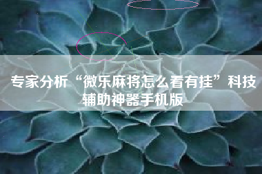 专家分析“微乐麻将怎么看有挂”科技辅助神器手机版