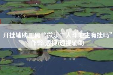 开挂辅助工具“微乐二人斗地主有挂吗”作弊(透视)透视辅助