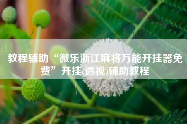 教程辅助“微乐浙江麻将万能开挂器免费	”开挂(透视)辅助教程