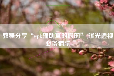 教程分享“wpk辅助真的假的”(曝光透视必备猫腻