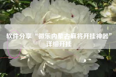 软件分享“微乐内蒙古麻将开挂神器”详细开挂