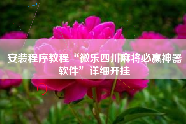 安装程序教程“微乐四川麻将必赢神器软件	”详细开挂