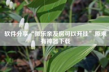 软件分享“微乐亲友房可以开挂”原来有神器下载