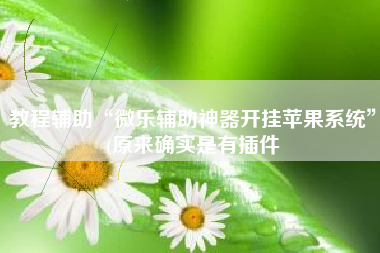 教程辅助“微乐辅助神器开挂苹果系统”(原来确实是有插件