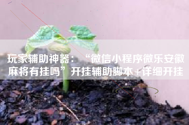 玩家辅助神器：“微信小程序微乐安徽麻将有挂吗”开挂辅助脚本+详细开挂
